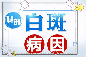 「评价目录」嘴角边有白斑「近期发布」白斑和白殿有何区别